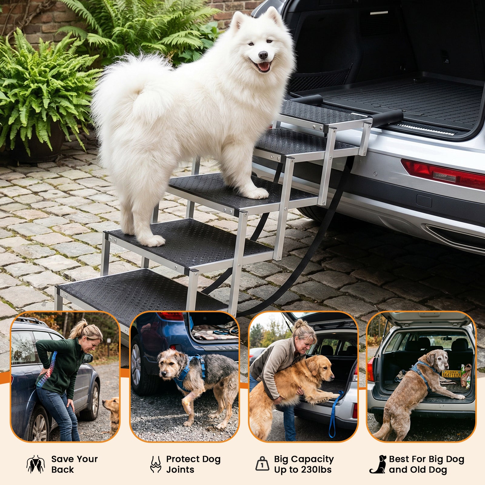 Leeyoung Everyday Move™ Compact Dog Stairs (Standard 5-Step / Secure-Climb 4-Step)